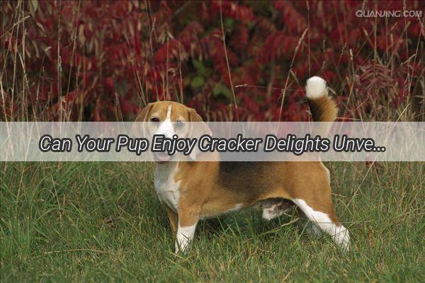 Can Your Pup Enjoy Cracker Delights Unveiling the Truth About Snowflake Crackers for Dogs